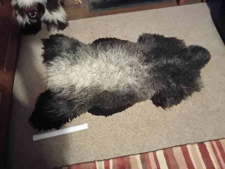 Genuine sheepskin rug