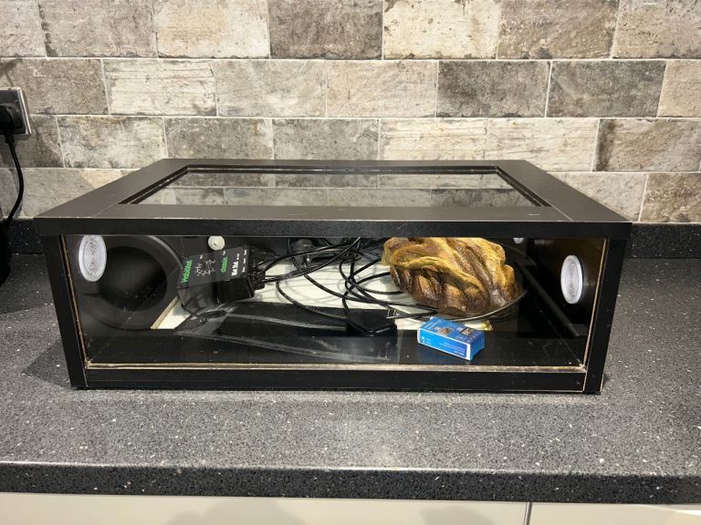 Beginner vivarium set up