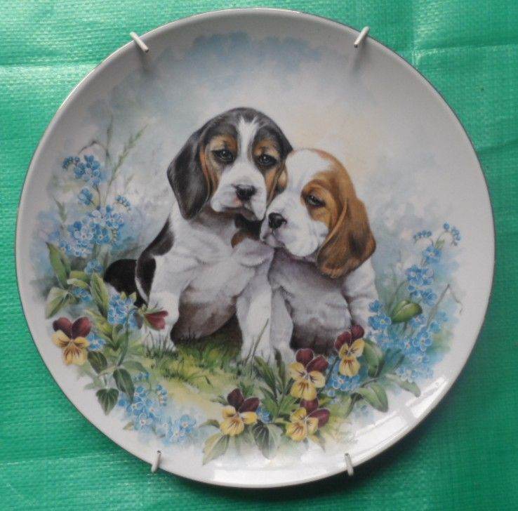 Royal Crest Decorative Plate with Puppy Design – As Good As New