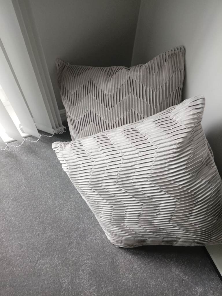 New two large grey cushions 4 large dried flowers aii new