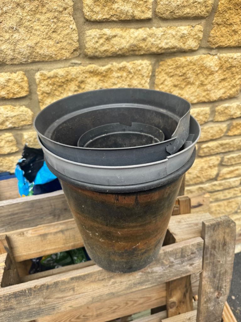 Free Plant pots 