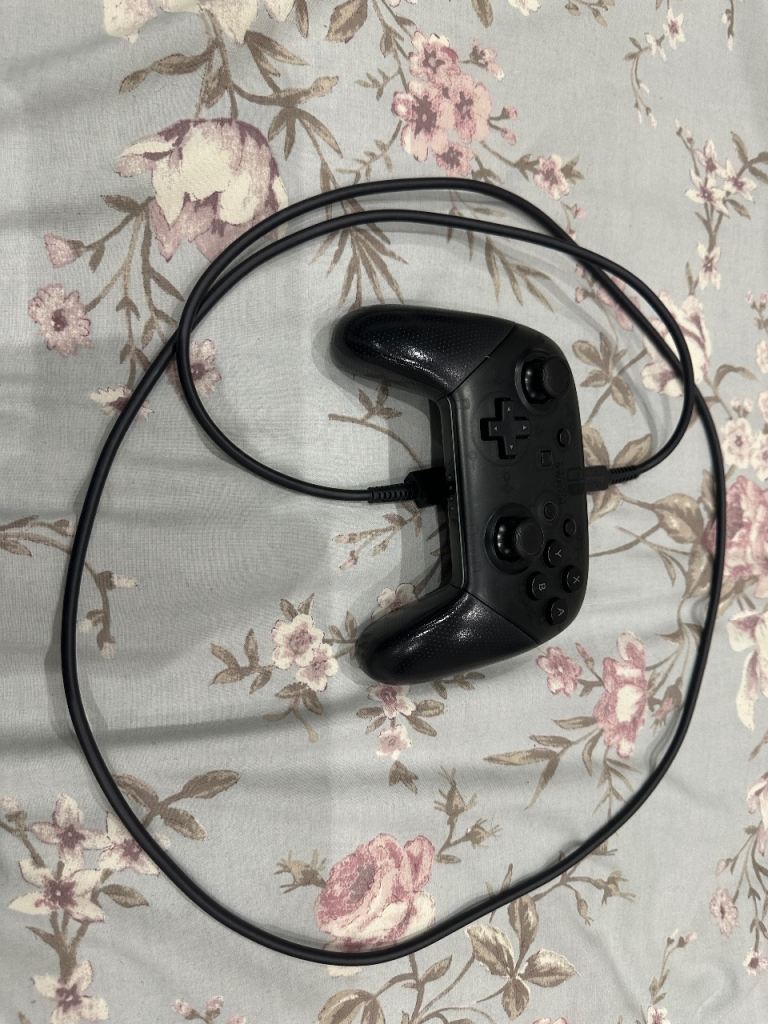 Nintendo Switch Controller 