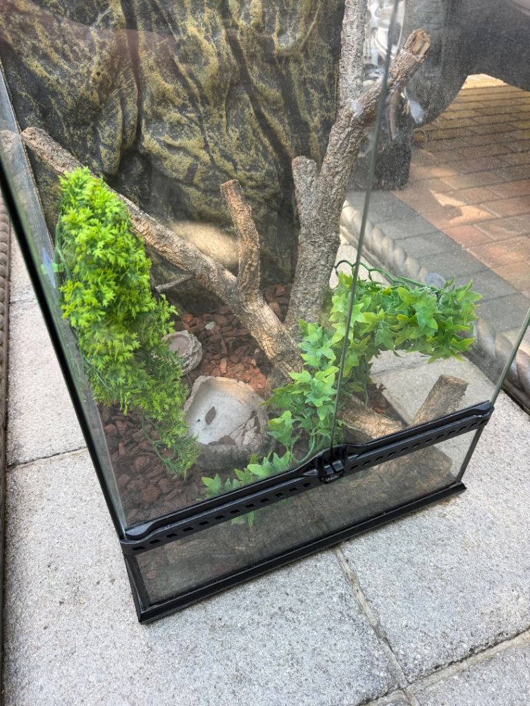 Exo Terra Glass Terrarium