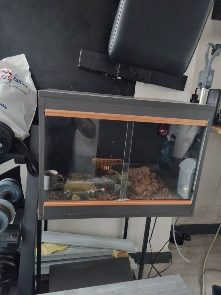 Vivarium 58cm