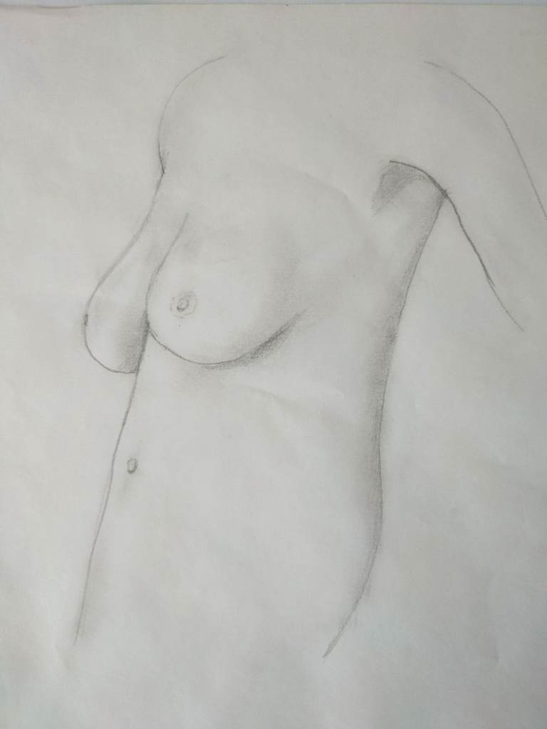 Artist / Photographer looking for a female model 