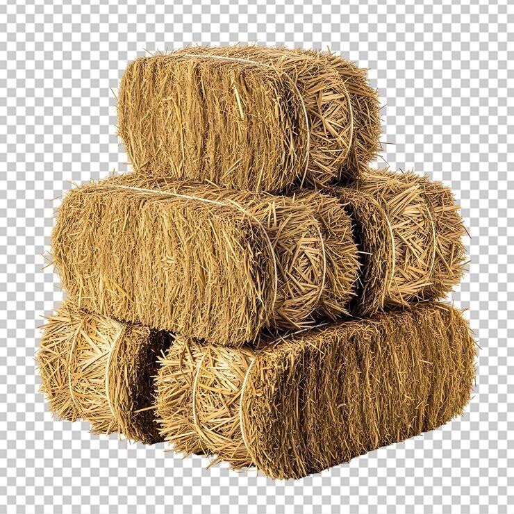 Free Haystack Collection 