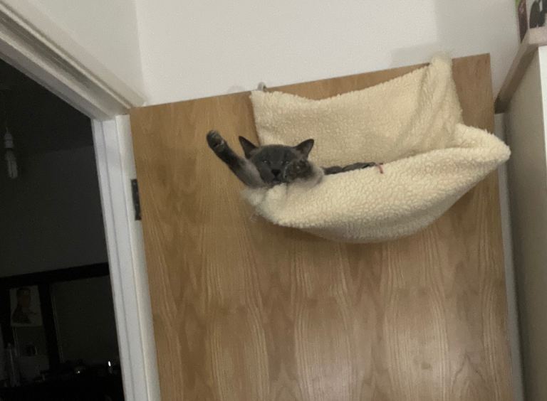 image for Cat bed over door/ over radiator 