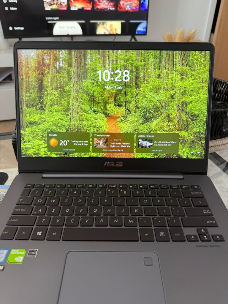 ASUS UX430