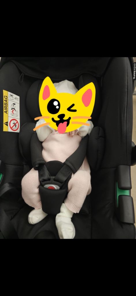 Seat for baby, fits until 8-9 moths 