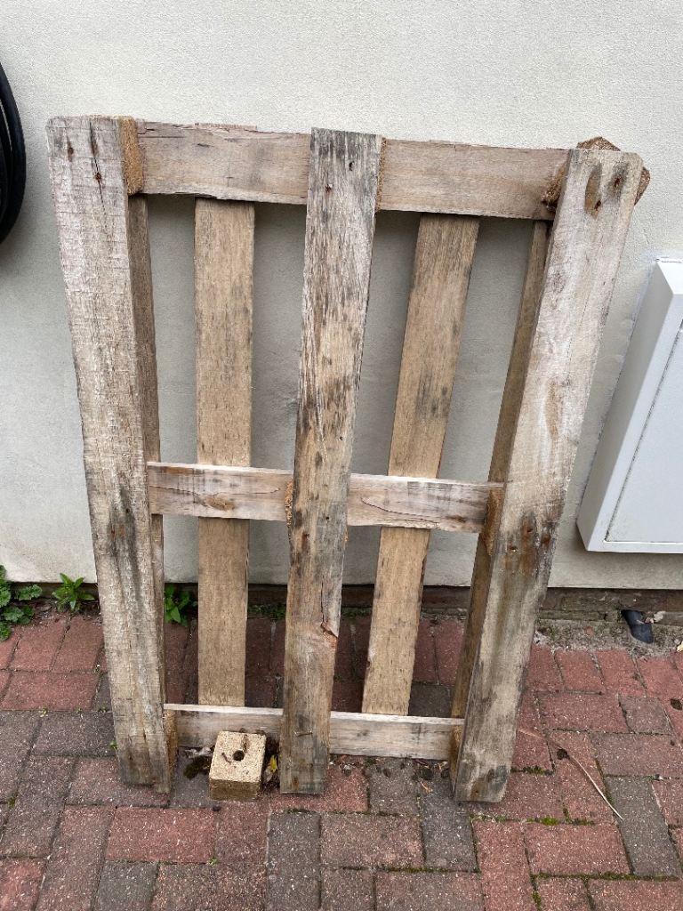 1 wooden pallet free to collect from Bearsden, Glasgow
