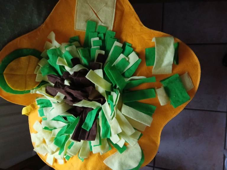 Dog sensory treat toy