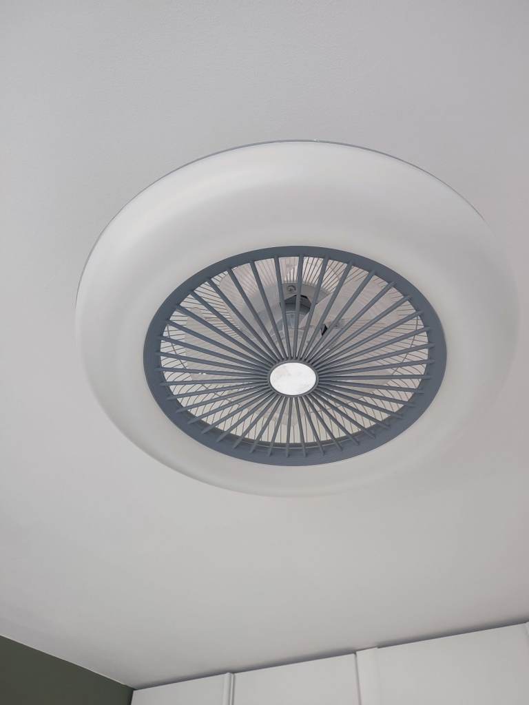 Ceiling light and fan 