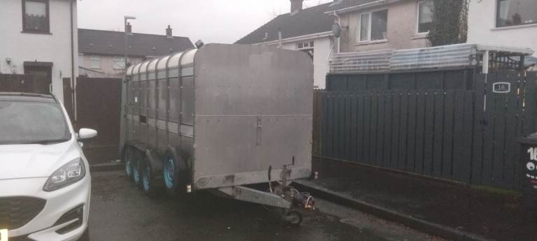 Iforwilliams TA510 14x6 Cattle Trailer Serviced Recent ❗️NO VAT  