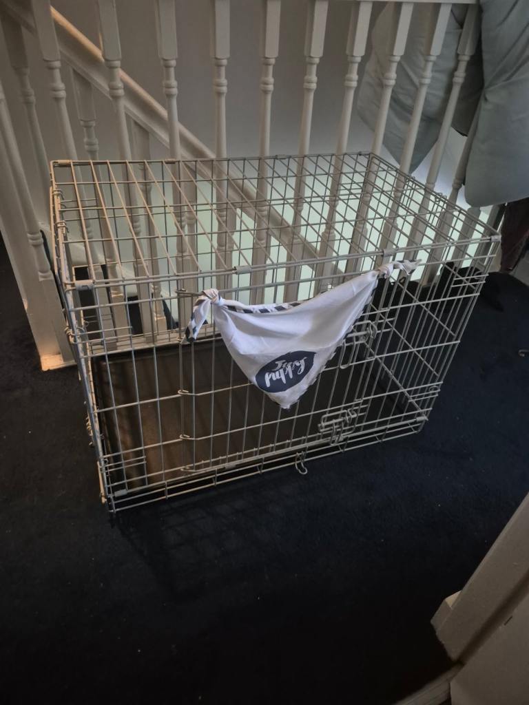 Dog Crate 