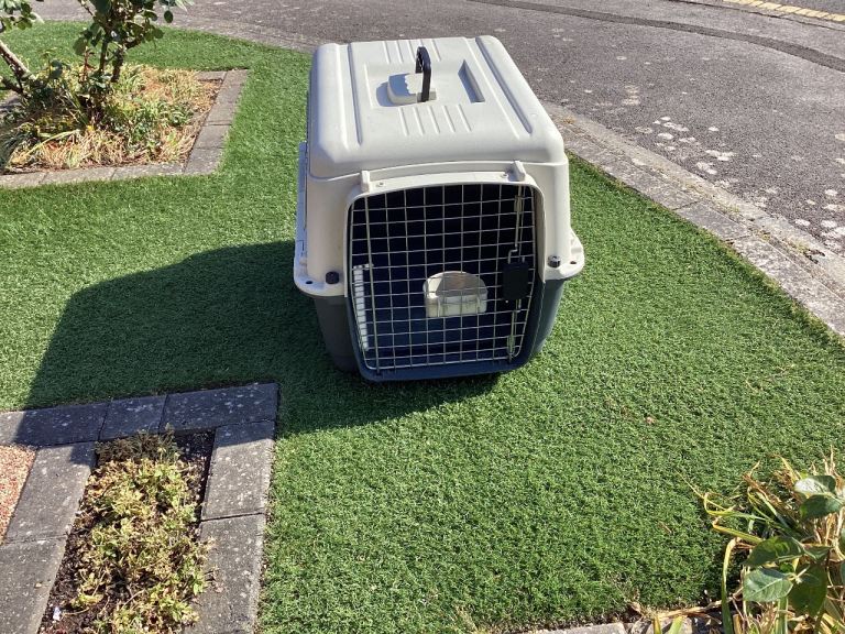 PET CARRIER ( LARGE )