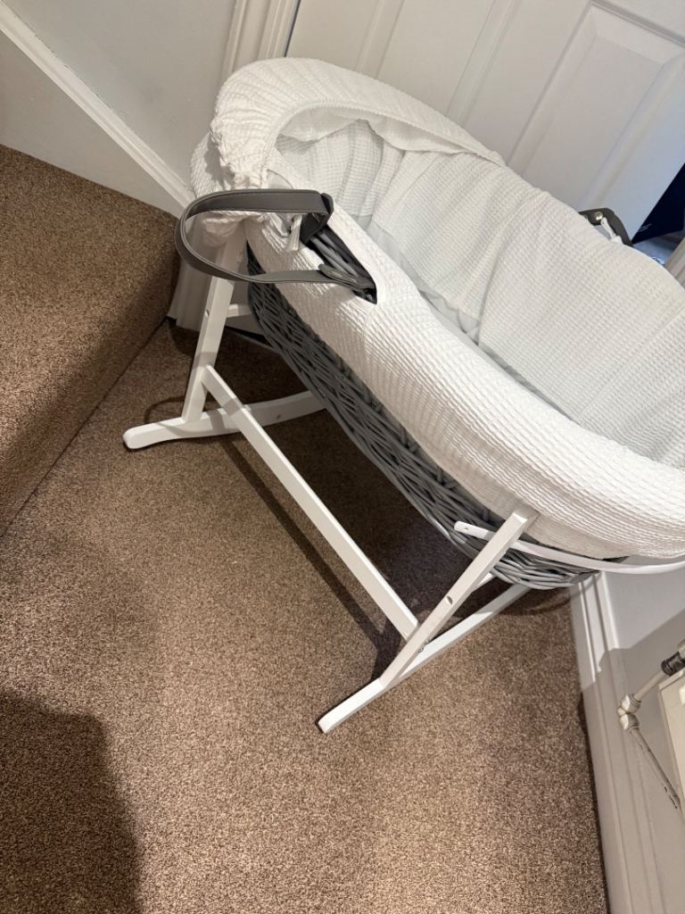 Red kite Moses basket