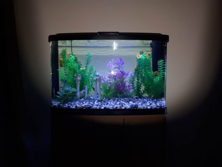 60litre Curved Fish Tank with supplier approved pine wood stand/cabinet.
