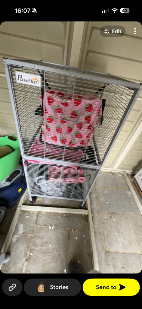 Brand new cage 
