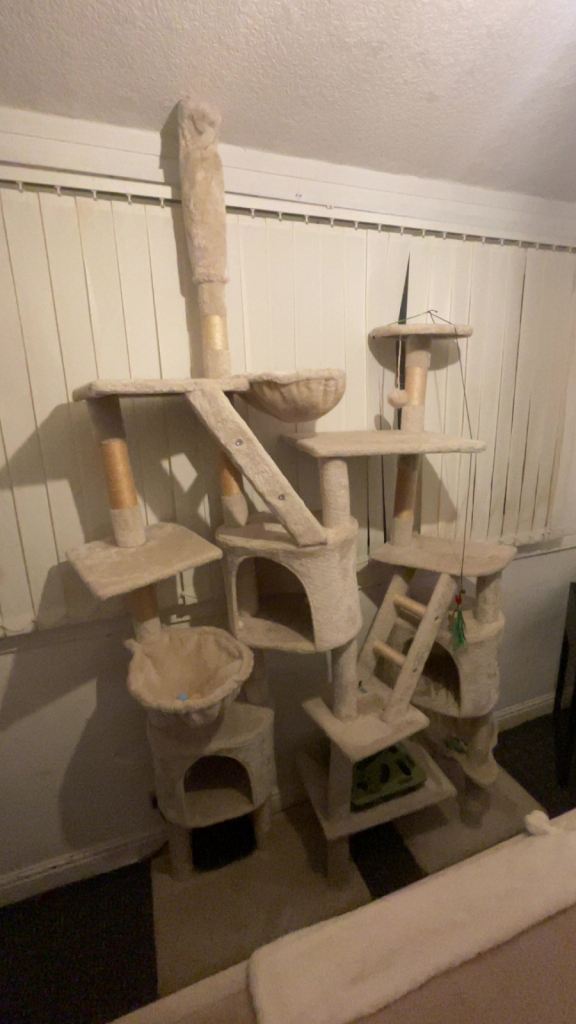 Cat tree 