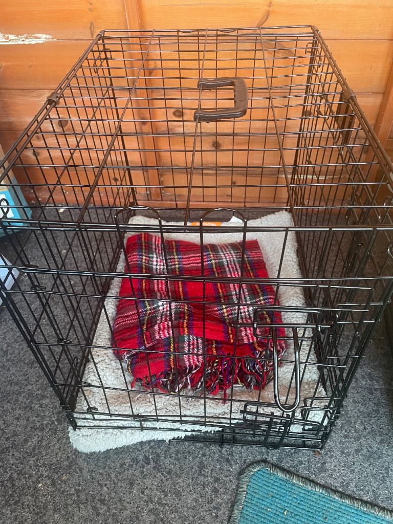 Black dog crate 