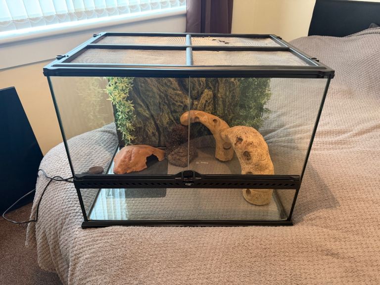 Vivarium 24x18x18
