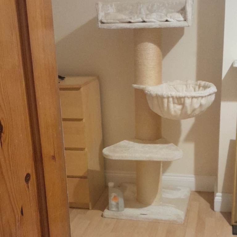 A cat bed