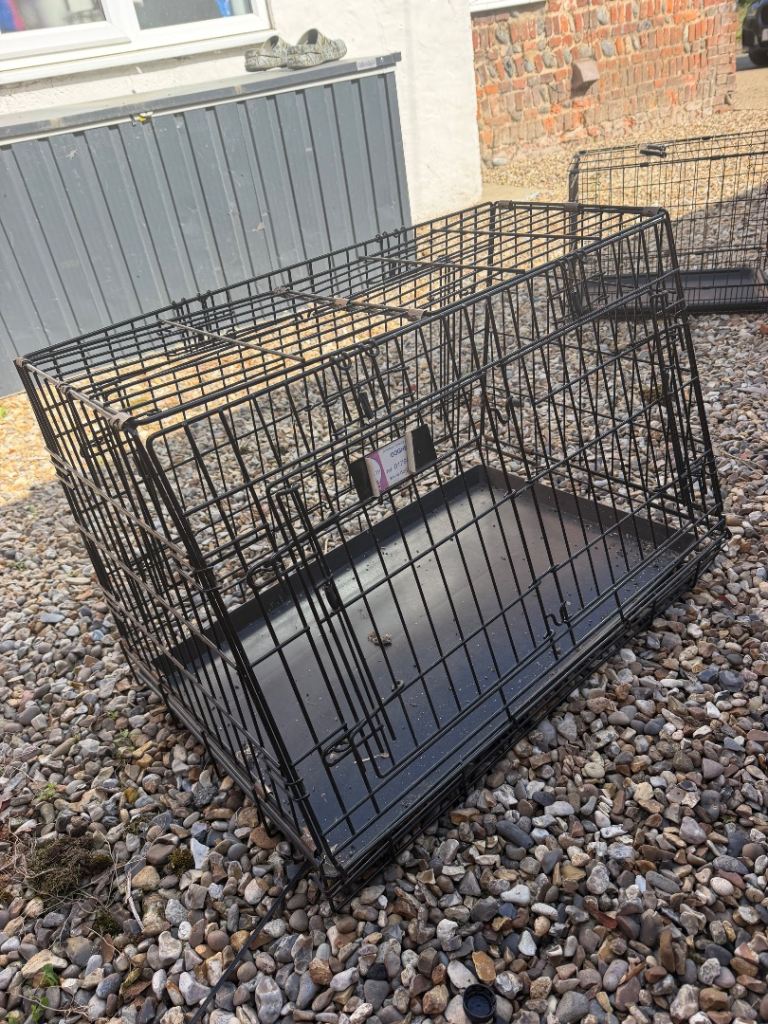 Pet carrier 