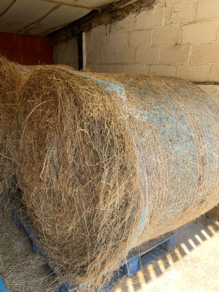 Round bale of hay