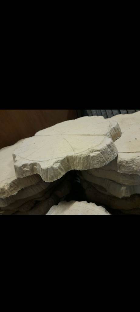 Concrete stepping stones 