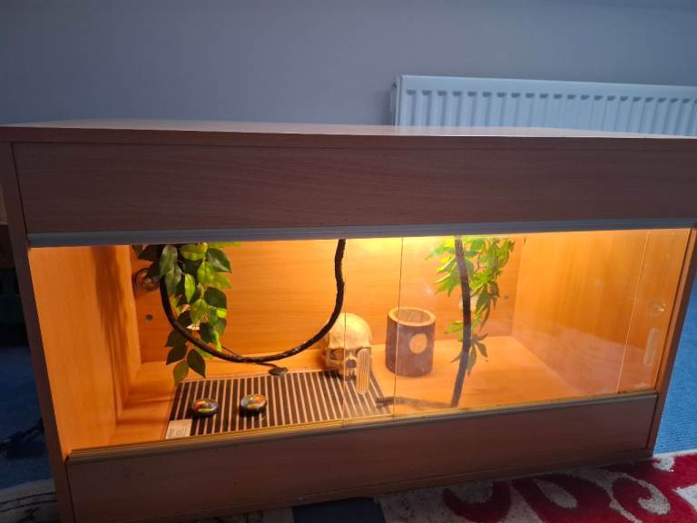 Large Reptile Vivarium 