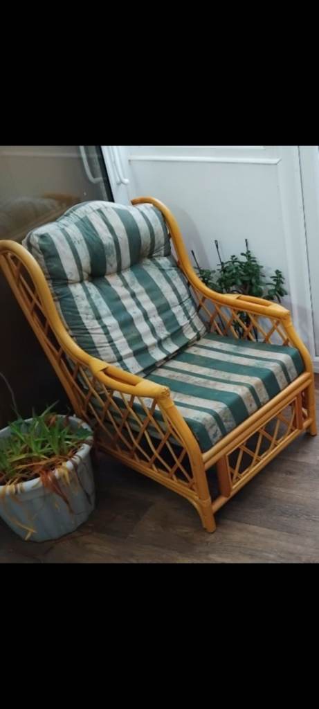 Pair of conservatory rattan wicker cane chairs