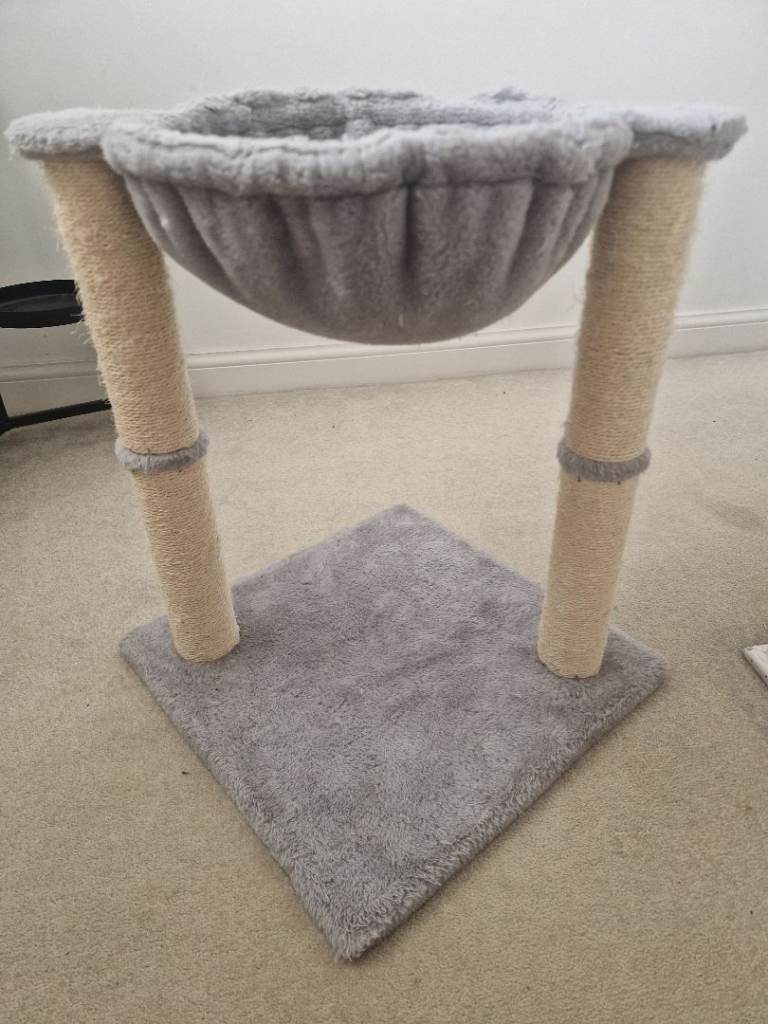 Cat scratch post