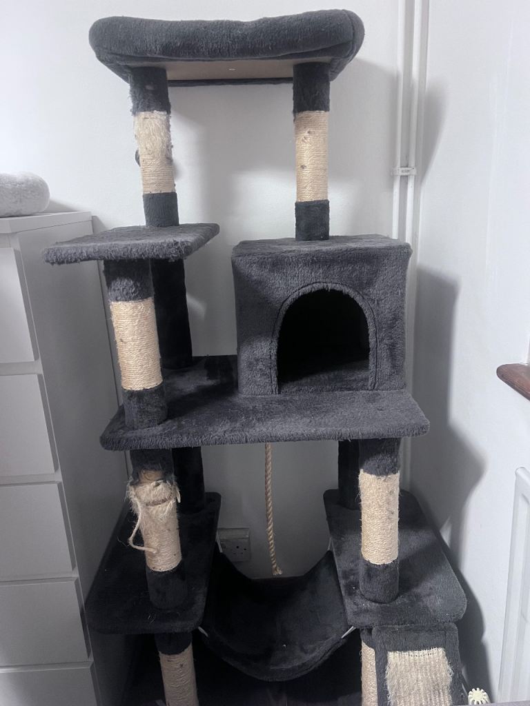 Used cat tree