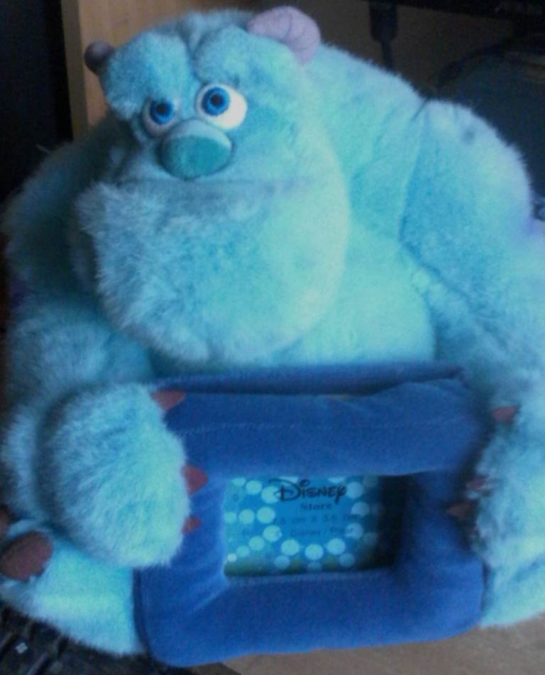 Disney Monsters Inc University Sully Soft Plush Toy Photo Frame ect.....