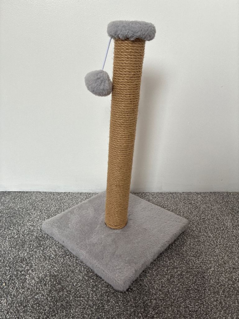 Cat toy
