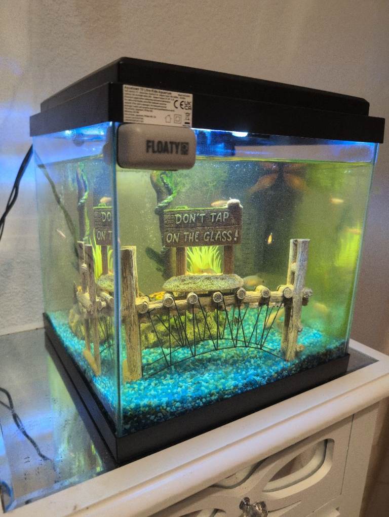 Kids fish tank 