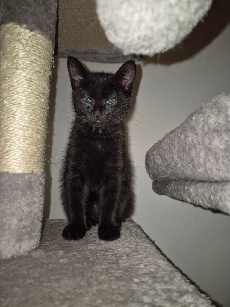 1 boy left due to being let down