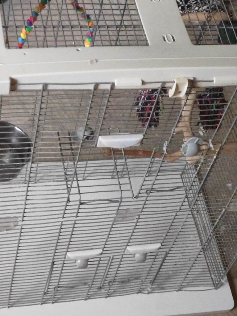 Bird cage