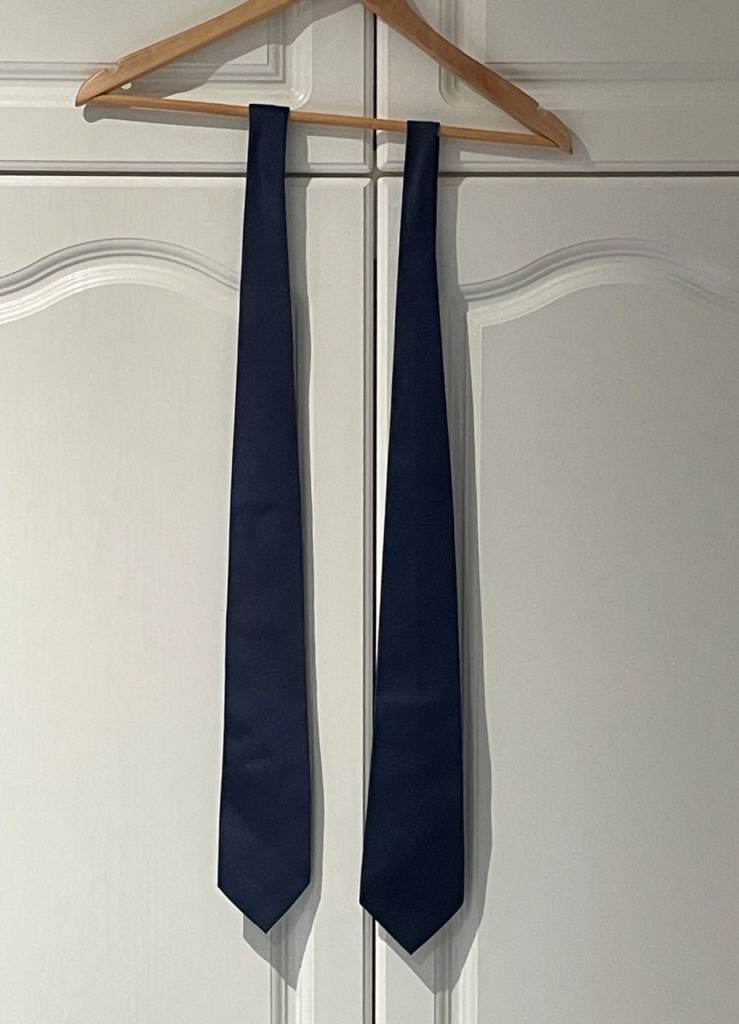 THOMAS NASH TIE, Navy Blue Solid Smart Formal Event Ties ( 2 TIES)