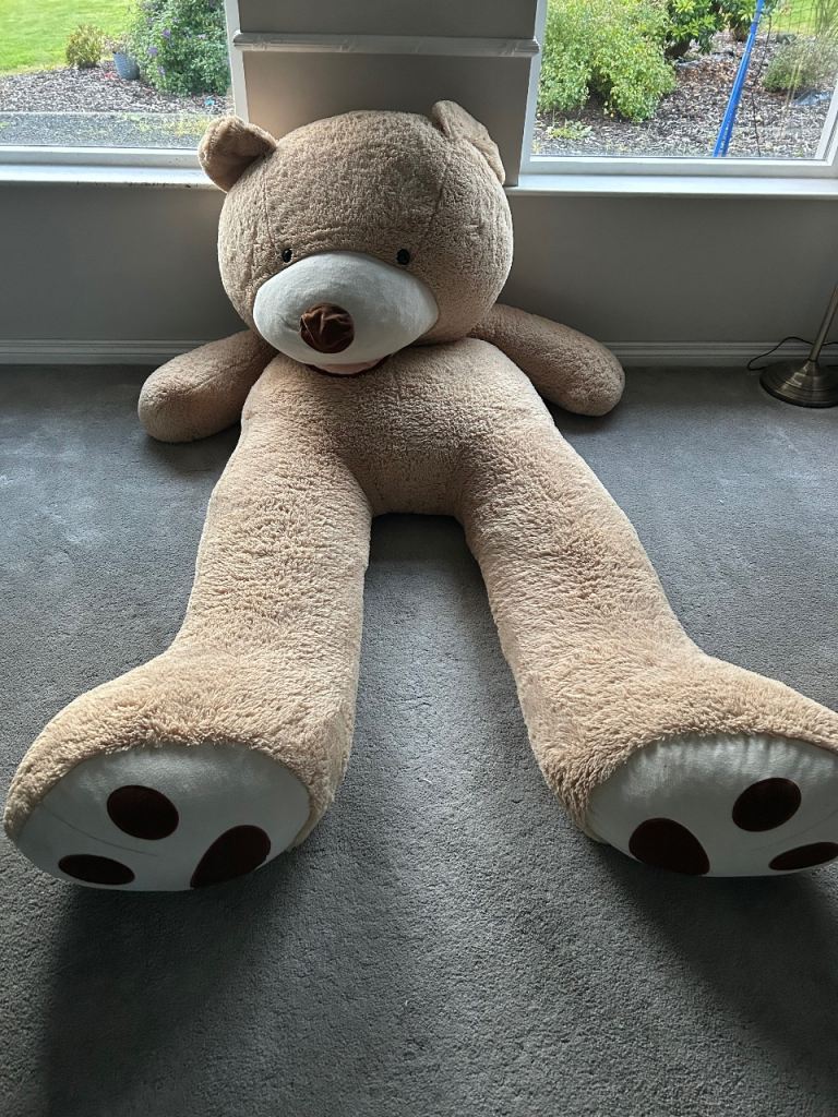 Free to good home 8ft Teddy