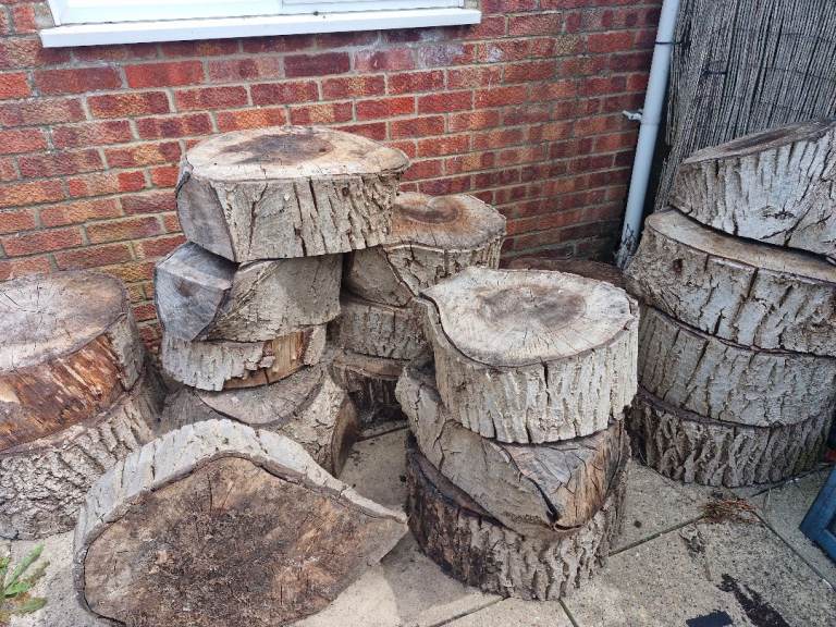 Walnut tree trunk slabs 