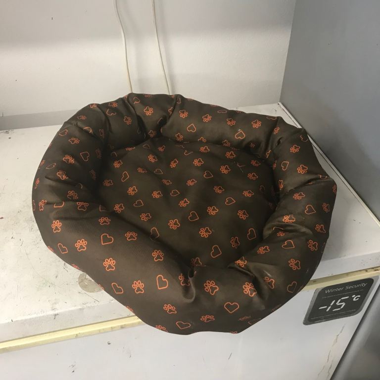 I have 2 brand new pet beds, suit cat or small dog