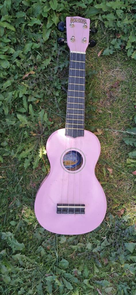 Vango Pink Soprano Ukulele - Great for Beginners