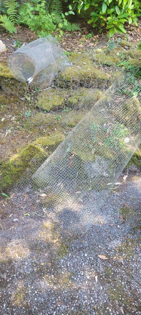 Rabbit, small pet wire + chicken wire