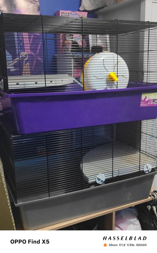 2 hamster cages with accessories 