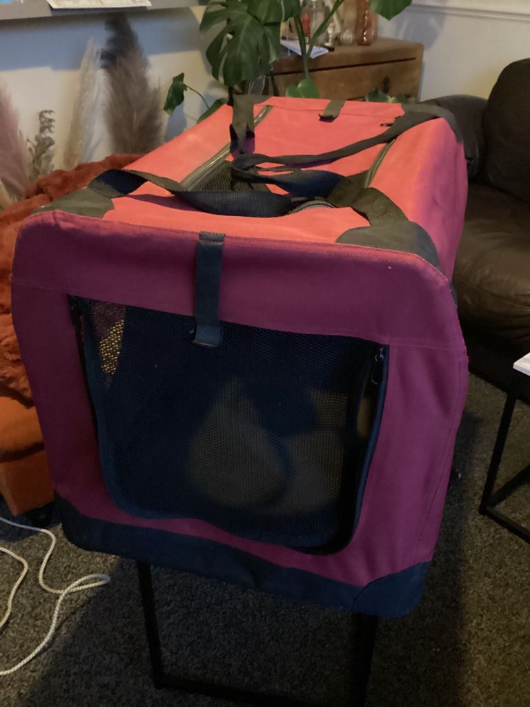 Excellent condition dog carrier small to medium dog