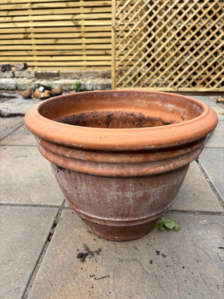 Terracotta garden pot