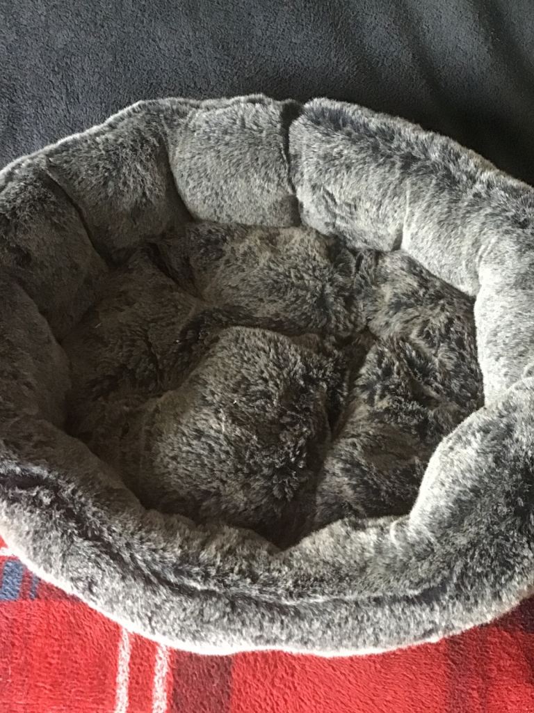 Fluffy cat bed or small dog bed