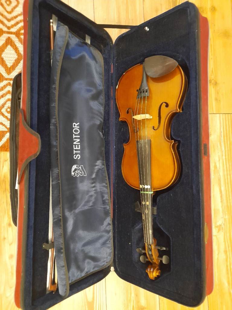 Viola