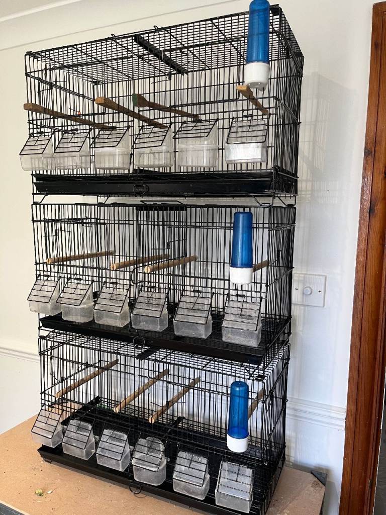 canary/finch cage
